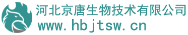 首页